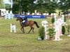 jumper For Emotion (Oldenburg show jumper, 2001, from For Pleasure)