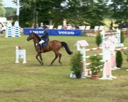 jumper For Emotion (Oldenburg show jumper, 2001, from For Pleasure)