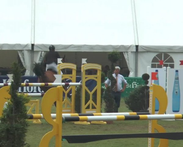 jumper Jum Alme (Zangersheide riding horse, 2006, from Jumpy des Fontaines)