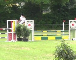 jumper Uly le Roi VS (Württemberger, 2004, from Urleven Pironniere)