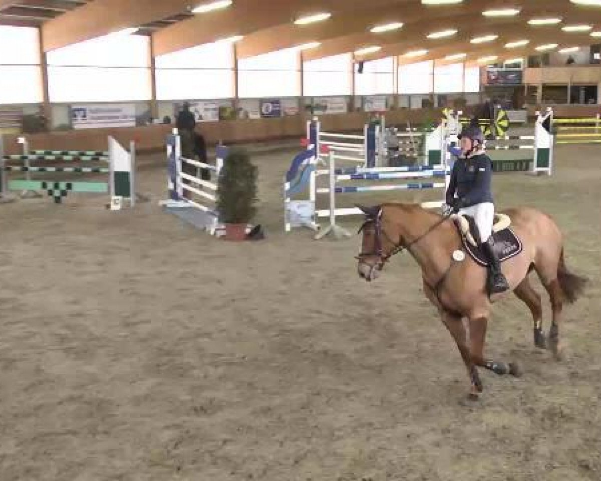Springpferd Fleur van 't Valkenhof (Belgisches Warmblut, 1991, von Bengale)
