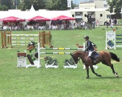 jumper Lanzado 2 (Oldenburg show jumper, 2007, from Lordanos)