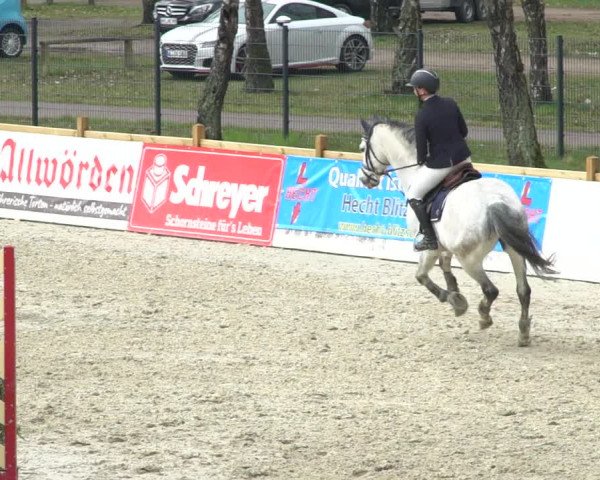 Reitturnier Westergellersen 2021