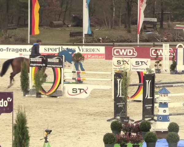 Reitturnier Westergellersen 2021