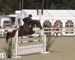 jumper Calato Girl (German Warmblood, 2003, from Calato)