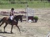 broodmare Byuti (Oldenburg show jumper, 2003, from Balou du Rouet)