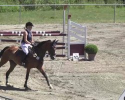 broodmare Byuti (Oldenburg show jumper, 2003, from Balou du Rouet)