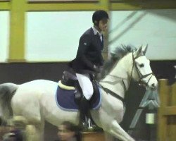 Springpferd Chikaga (Bulgarisches Warmblut, 2007, von Charmed Z)