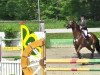 jumper For Cavalier (Hanoverian, 2005, from For Edition)