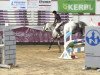 jumper Cyrill (German Sport Horse, 2007, from Ciacomini)