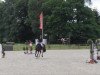 jumper Check In 9 (Hanoverian, 2008, from Concetto)