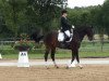 dressage horse Da Capo 154 (Hanoverian, 2002, from De Niro)