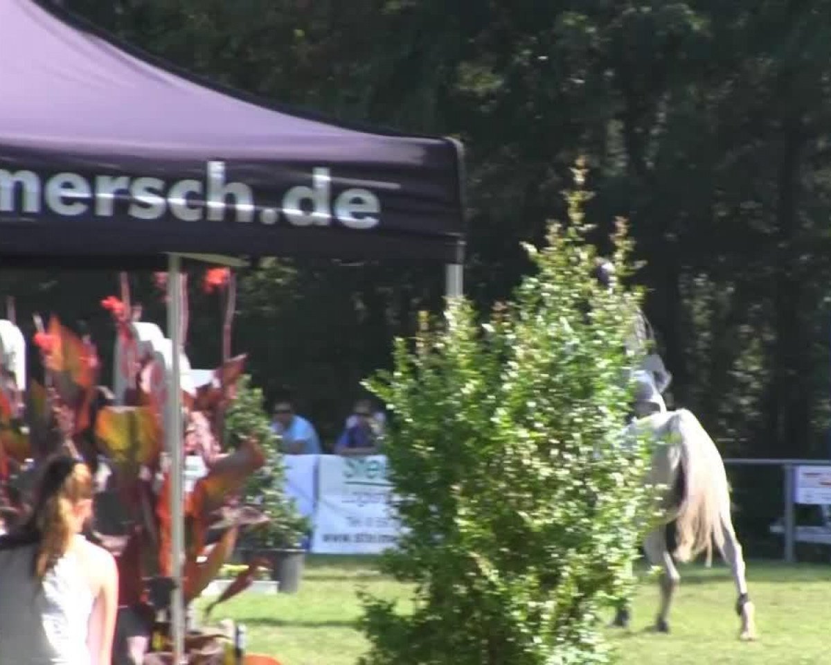 broodmare Nip Tuck II (German Riding Pony, 2003, from Nantano)