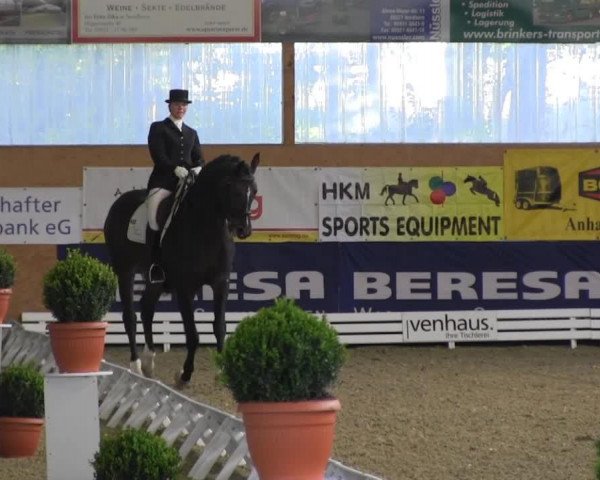 dressage horse Skygate Hit (Hanoverian, 2005, from Sandro Hit)