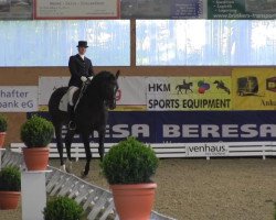 dressage horse Skygate Hit (Hanoverian, 2005, from Sandro Hit)