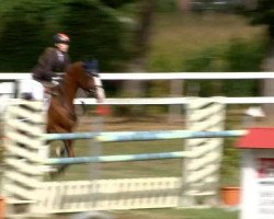 Springpferd Queen 124 (Shetland Pony, 2004, von Quidam's Rubin)