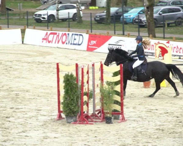 Reitturnier Westergellersen 2021