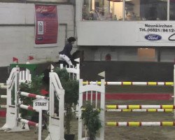 jumper Carl 35 (German Sport Horse, 2003, from Catalani)