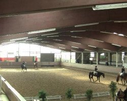 dressage horse Santana 910 (Westphalian, 2008, from Sandro Bedo)