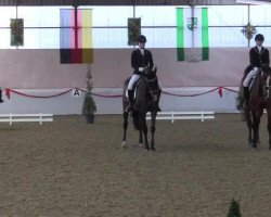 dressage horse Rocking Rhythm 2 (Westphalian, 2005, from Real Diamond)