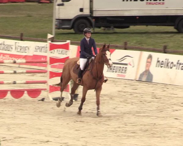Reitturnier Westergellersen 2021