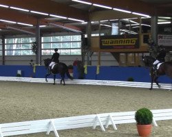 dressage horse Emmy 40 (Westphalian, 2007, from Ehrendorf)