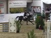 jumper Bacchus 68 (German Sport Horse, 2003, from Balou du Rouet)