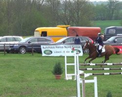 dressage horse Wesciana (Hanoverian, 2003, from Worldly I)