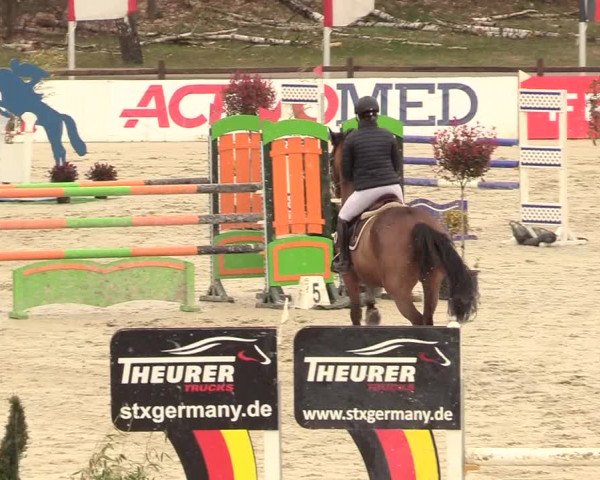 Reitturnier Westergellersen 2021