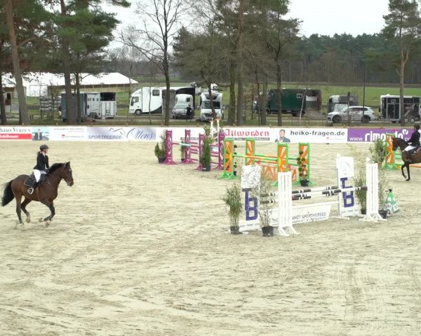 Reitturnier Westergellersen 2021