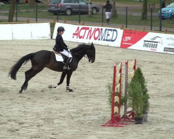 Reitturnier Westergellersen 2021