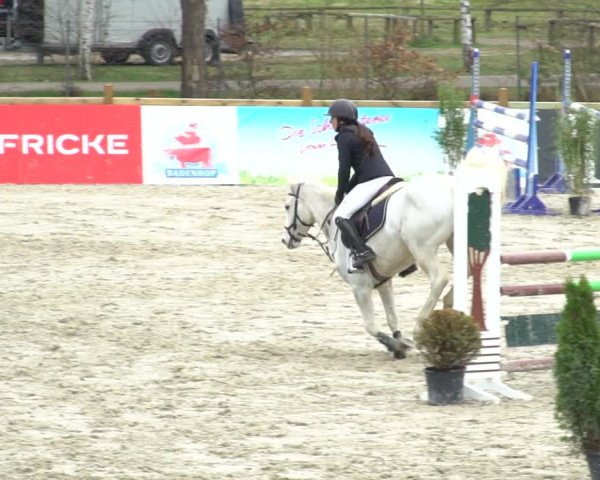Reitturnier Westergellersen 2021