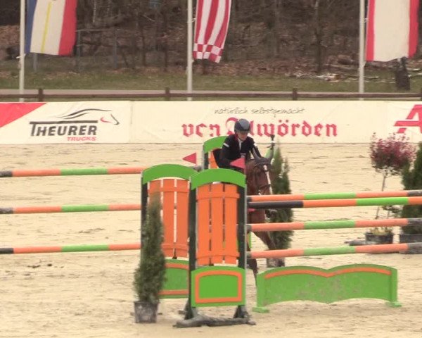 Reitturnier Westergellersen 2021