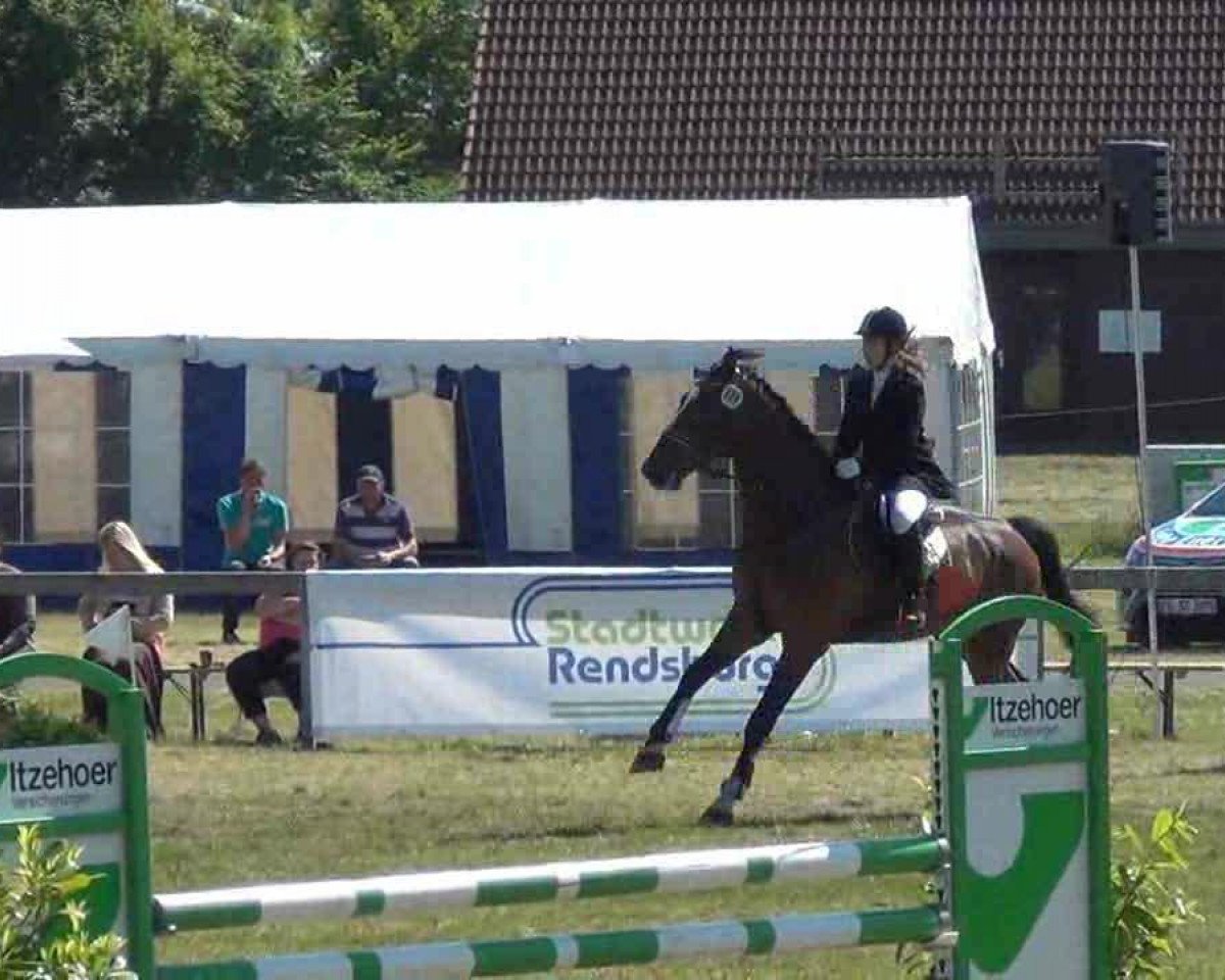 jumper Lightning Jack 12 (Holsteiner, 2007, from Landos)