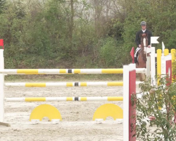 Reitturnier Nordheim-Wattenheim 2021