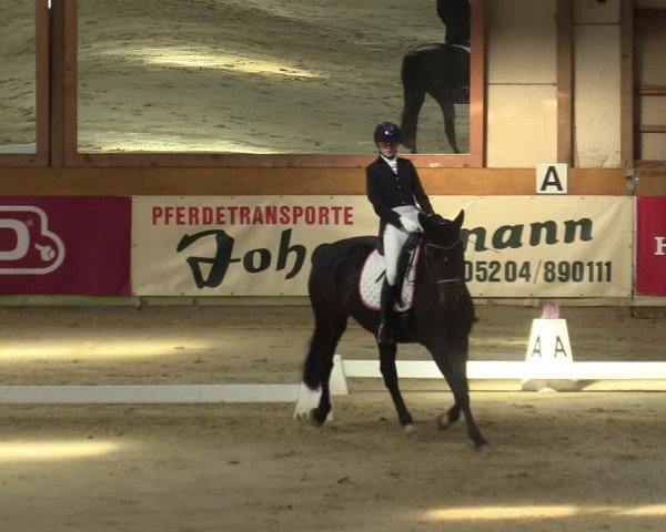 Steinhagen Classics 2021
