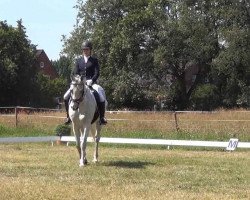 dressage horse Piet-Hein (Trakehner, 1999, from Silvermoon)