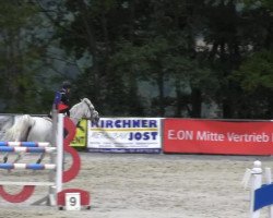 jumper Womack van't Oud Vliegveld (Belgian Warmblood, 1999, from Clinton)