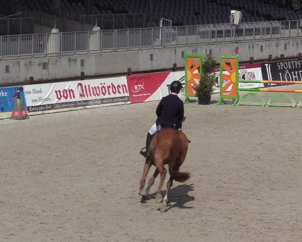 Reitturnier Westergellersen 2021