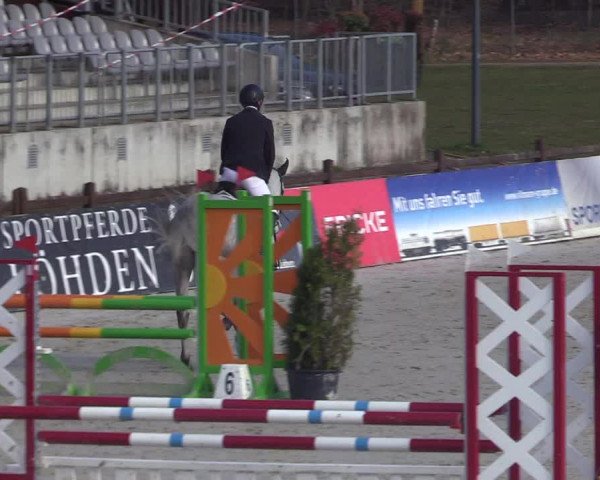 Reitturnier Westergellersen 2021