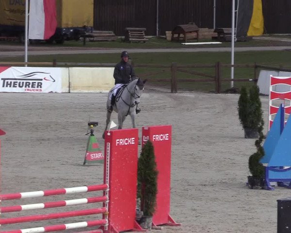 Reitturnier Westergellersen 2021