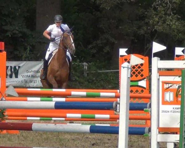 jumper Fheerubin (Hanoverian, 2004, from Fashion King)