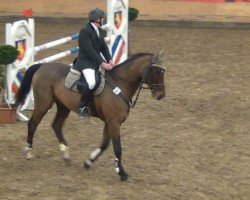 jumper Gospodin 71 (Hanoverian, 2001, from Graf Grannus)