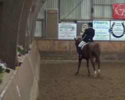 dressage horse Frawaldi (Hanoverian, 1997, from Werther)