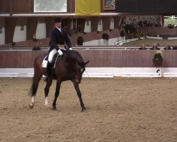 dressage horse L' Etienne (Holsteiner, 2006, from Lorentin I)