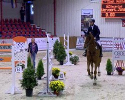 jumper Bacentus (Oldenburg show jumper, 2005, from Balou du Rouet)