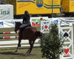 jumper Carelo (Holsteiner, 2003, from Caretino)