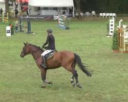 broodmare Albfuehren's Consina (Oldenburg show jumper, 2005, from Colander)