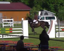 jumper Strothmann (Hanoverian, 2007, from Silvio I)