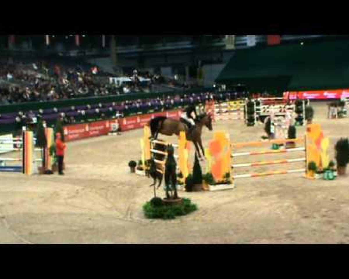 Springpferd Zz Top Vh Schaarbroek Z (Zangersheide Reitpferd, 2001, von Zandor Z)
